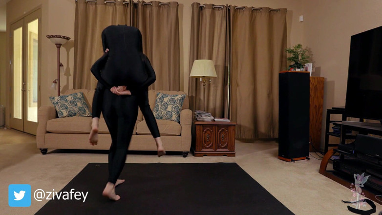 Ziva Fey: Ziva Fey and Mewchii Fey - secret agents lift and carry