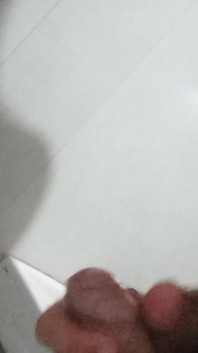 포즈