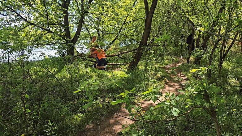 Nick Lewis: Fångad med att knulla två män i skogen