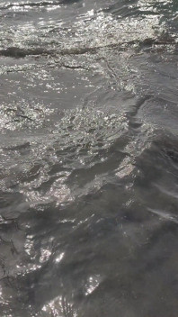 Bts Blooper Open Ocean Phootshot