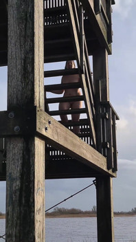 A îndrăznit să striptease complet goală și să meargă până la partea de sus a Turnului de Căutare
