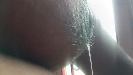 Fapidontmind: Chupando Axilas Pelo Meu Lábio