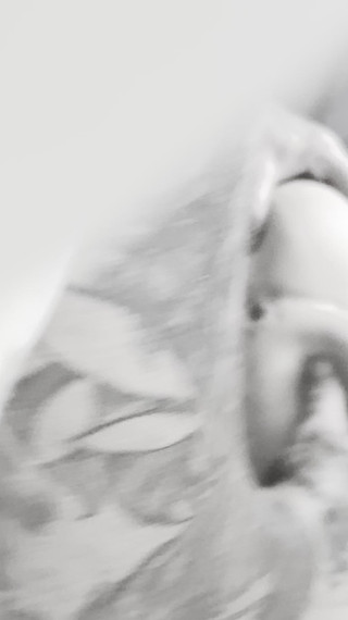 Ddub: Cưỡi con quái vật stapon