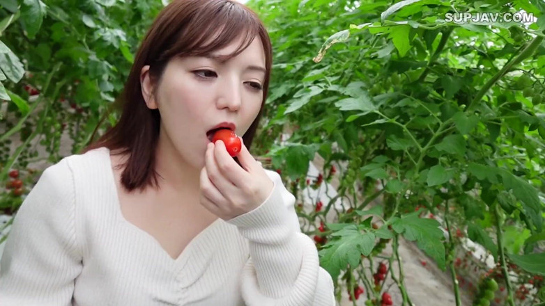 Studio Modern Shunga - JAV: Asian angel 7402
