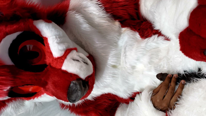 PawgrammerSocks: Furry in Full-body Fursuit Pisses on You, Then Cums Over...