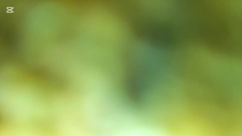 Valkyrieandluigy: Arrapata matura legata e scopata mascherata