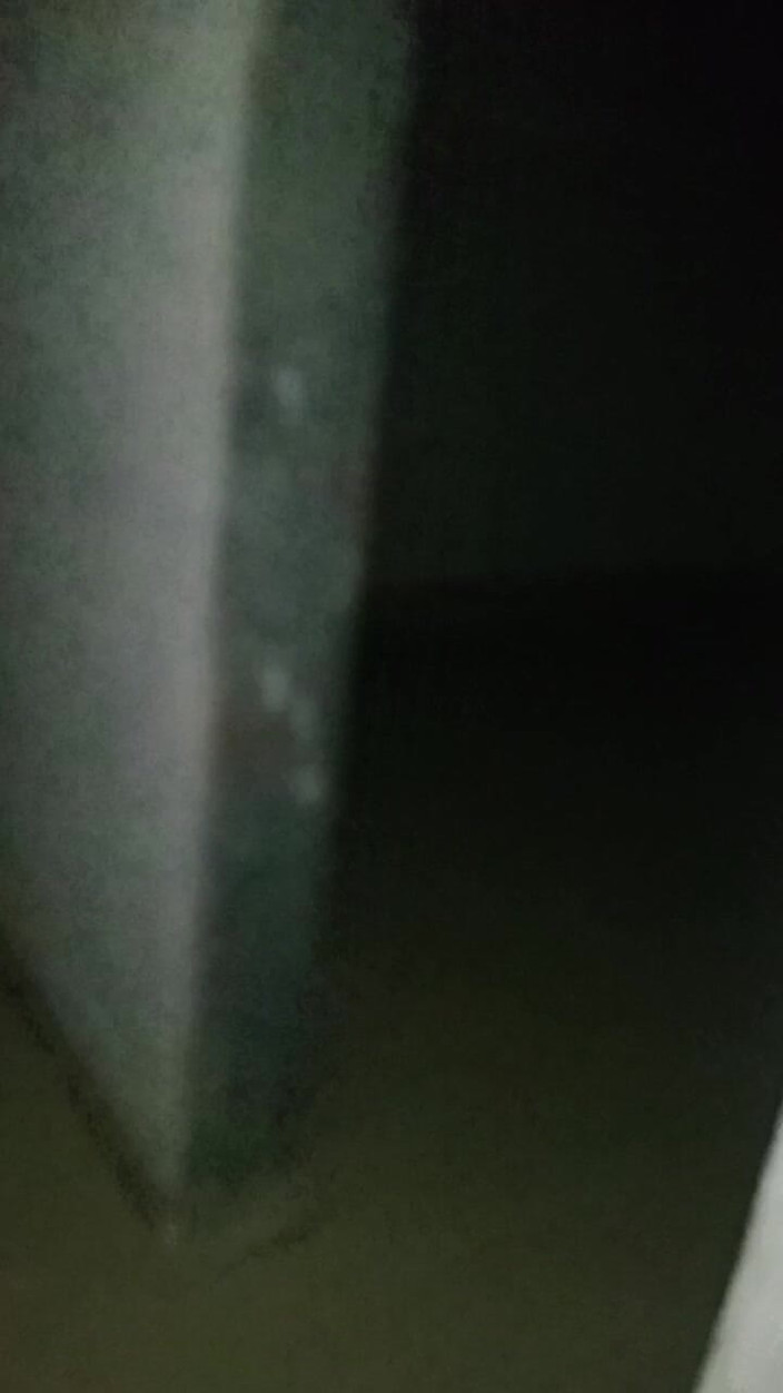 Lifeboy: Notte vlog It a casa e. Sesso ragazza amica