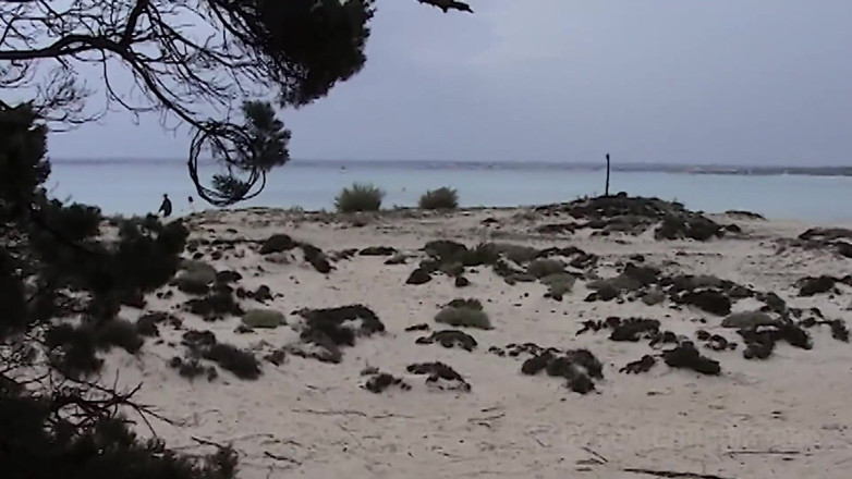 Sextermedia by Pete: Couple Spied on While Fucking on the Beach