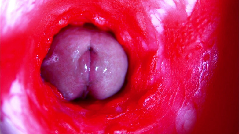 SEXY_GUYBEST: 익스트림 클로즈업 ASMR 머리 젖은 보지