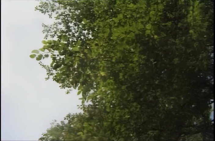 Xtime Network: De parodie (aflevering)