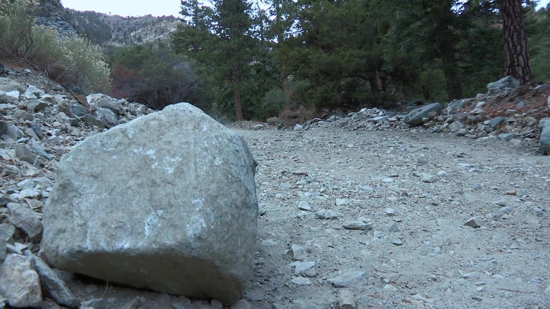 Les Lesbians: Лесбийская утопия: Лесбиянки 6