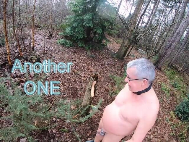 Andy: Consolador en el Bosque 2