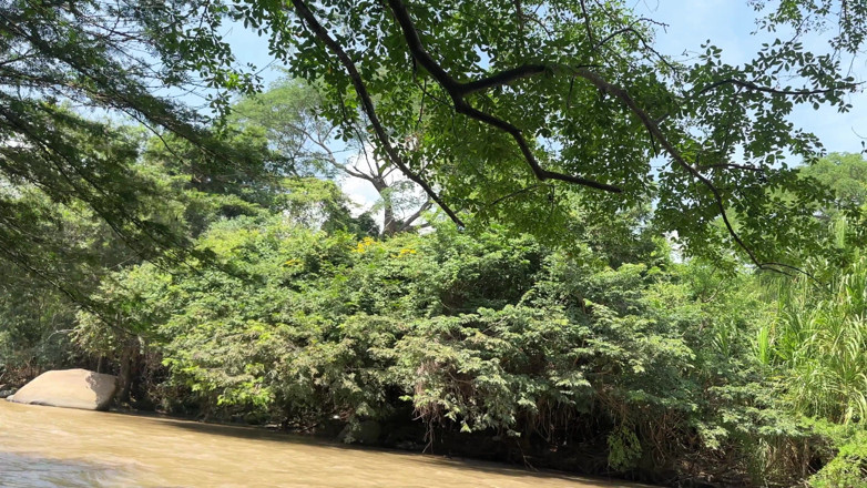 Duoafroditas: Таинственный магический гоблин заставляет меня трахать свою толстую сводную сестру в обмен на то, чтобы выпустить нас из её волшебной реки