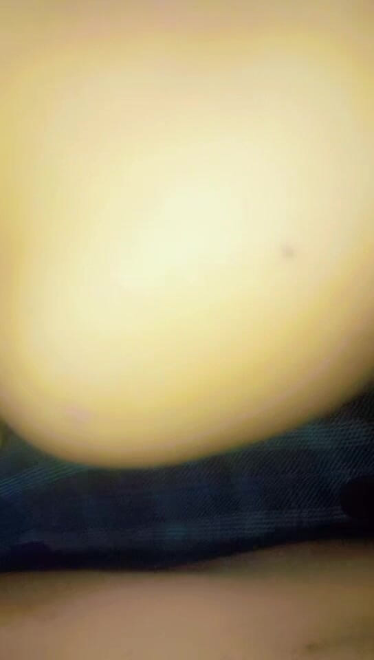 LaraS: Он пытается получить это в мою задницу