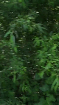 Bts nature walk và thủ dâm trên đường mòn