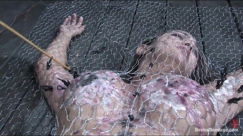 Device Bondage by Kink: Penned in