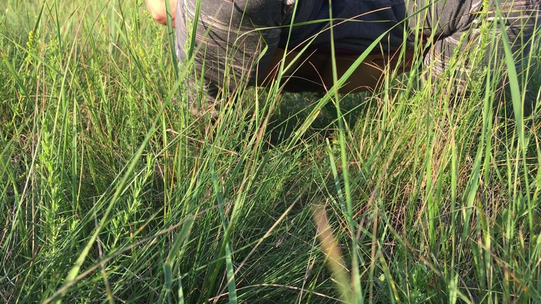 Risky Hairy Couple: Pinkeln ins gras auf einer Wiese