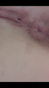 Do You Wanna See My Pretty Noisy Asshole so Close to You?