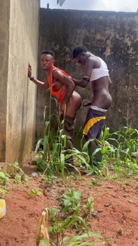 Pratique agricole