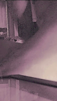 Stepdaughter Tricked Into Anal After Party Part 16