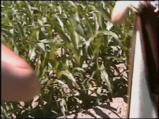 Lucky Cooch: Two amateur chicks ride guy's cock outdoors