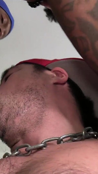 Huge Black Cocks Fuck and Breed Sexy Latin Cub