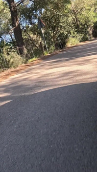 Busty Babe Fucking on the Side of the Road