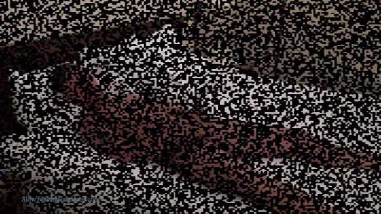 Wet Dream Men: Valentino - paja