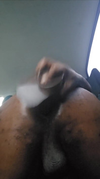 Taking It Doggy