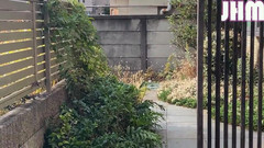 Japanese Hentai Matings: 4 leute in einer intimen routine erwischt
