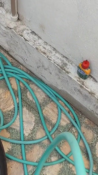 Instant Growth with the Garden Hose.