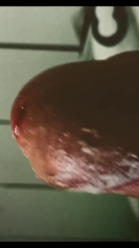 Perfect Smegma Cock