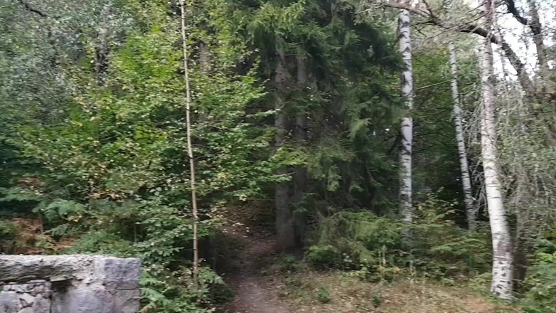Tiny Teena: Muie în pădure și futai