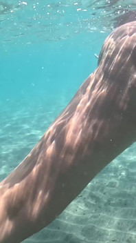 Una MILF Nuda Che Nuota Con Un Plug Anale Sott'acqua