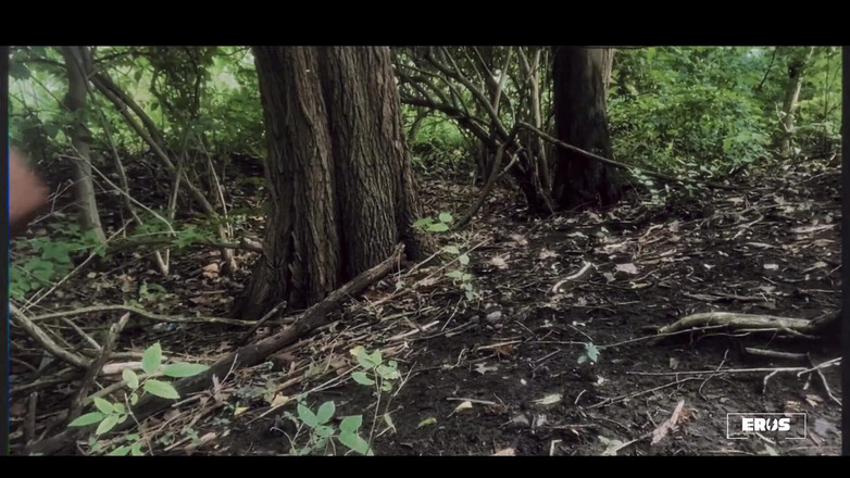 Boy Wonder: 3987809160.mp4