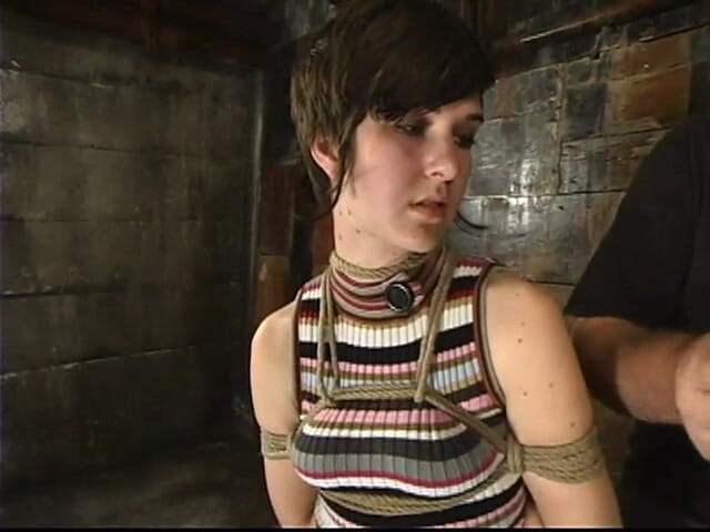 Hogtied by Kink: Trixie Kitten
