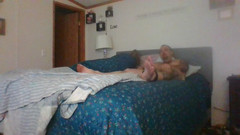 Satin Lady: Cetim senhora levanta-se para uma dura surpresa