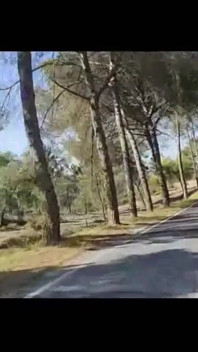 Pijat Wanita Halloween