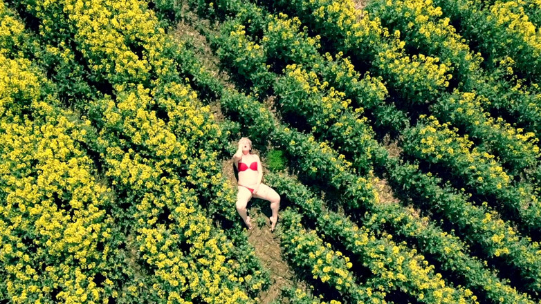 Kylie Britain Adventures: Birds Eye View
