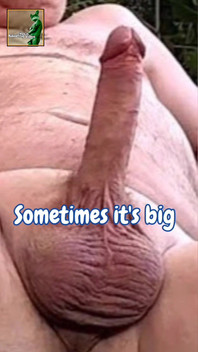 Here Is My Penis and Balls Part Two