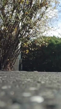 Watch Me Strut Away and Sashay Right Back Into Your Dreams in This Exclusive, Blink-and-you'll-miss-it Clip