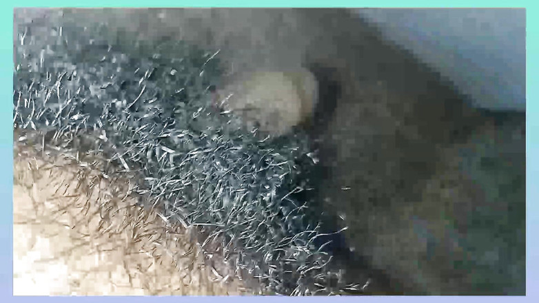 Lovely rose adit: Kamasútra 125