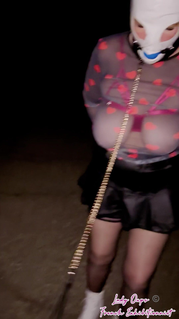 Lady Oups: On a Leash Like a Female Pet with Hood, Gag,...