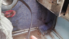 Fun_with_Rockey: Mms Virální