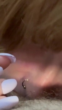 Sucking His Cock