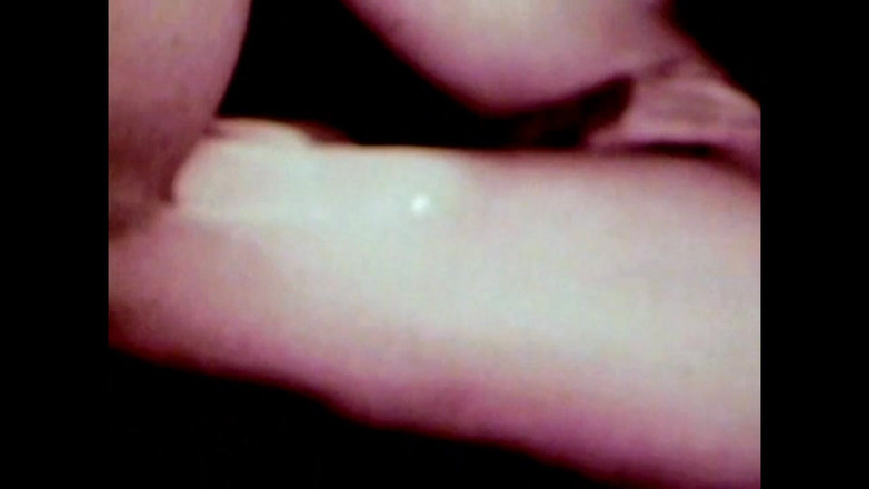 The Unforgettable: जंगली बछेड़ा