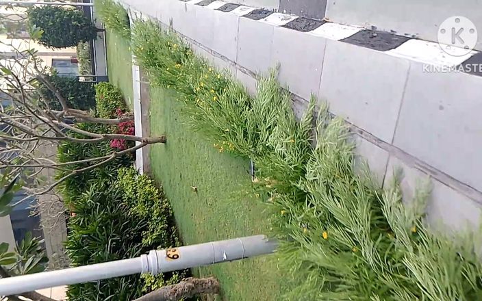 East Delhi: Entregador deixou a meia-irmã do vizinho com diversão