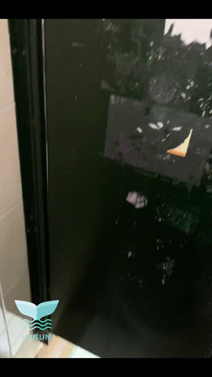 Isis Sun: Fucked by a Stranger in a Bar Bathroom Without a...