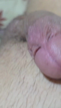 Sweet BF Dick