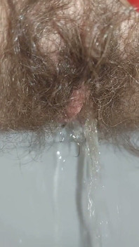 Eres Mi Váter, Eres Mi Señora De La Limpieza Por Lamerme El Pelo.